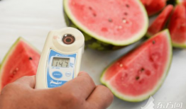 吃瓜大白爆料全过程,揭秘娱乐圈幕后真相